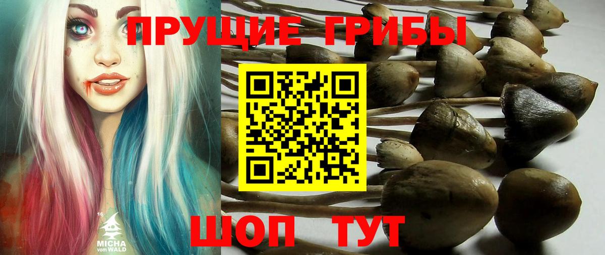 как найти закладки  Псилоцибиновые грибы ЛСД  Вход с VPN  Волжск 